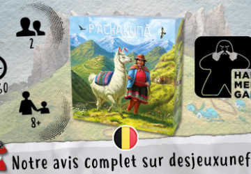 P'achakuna - Jeu belge- Coup de coeur - Des Jeux Une Fois