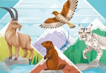 Alpino : allons randonner dans les Alpes