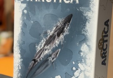 Arctica