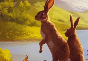 Biotopes : Une graine semée dans le jardin ludique