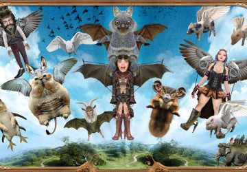 Bombyx de décembre - L'éditeur papillonne d'extension en nouveauté ! - Pixel Adventurers