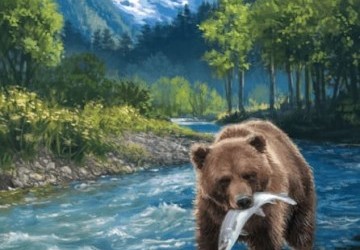 Cascadia développe une nouvelle gamme : Cascadia: Rolling