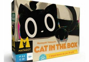 Cat in The Box : Chat noir, chat noir