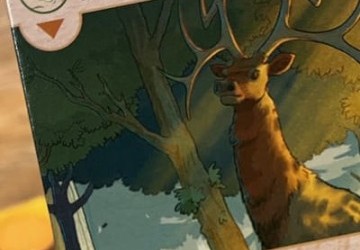 Earthborne Rangers, le voyage qui se mérite