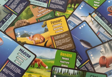 Explonimo : Questions pour un animal - Pixel Adventurers