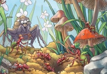 Fourmis : le jeu de pose d’ouvriéres