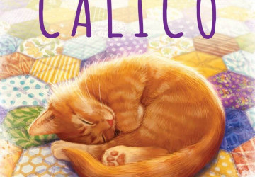 Interview-Test: Calico | Le Labo des Jeux