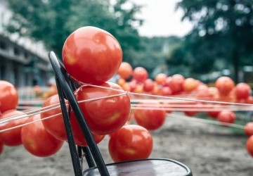 Jeu de la Tomate Ballon : Règles, Variantes et Sécurité