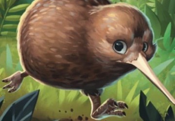 Kauri : Un p’tit coin de paradis ?