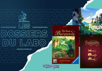 Les dossiers du Labo : Les châteaux de Bourgogne