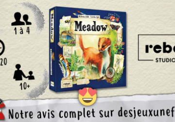 Meadow - Des Jeux Une Fois