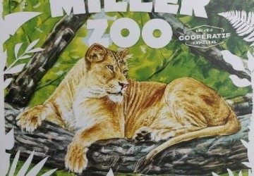 Miller Zoo – Parc animalier sur un plateau