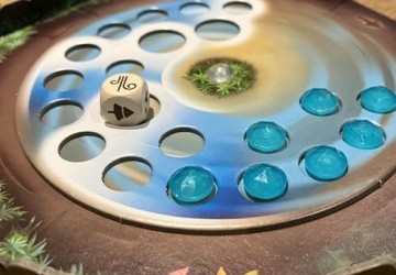 Mycelia : du mousseron au bolet