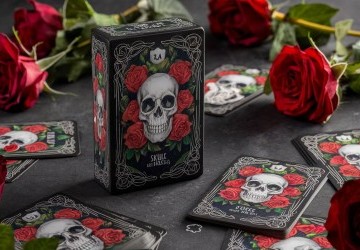 Skull and Roses : Règles et Guide Complet du Jeu 2026