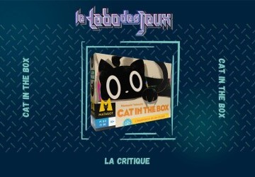 Test : Cat in the Box