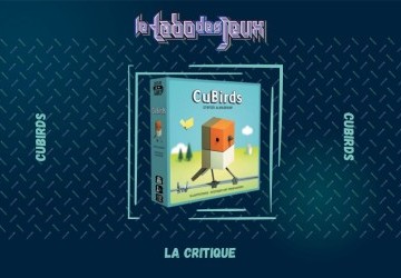 Test : Cubirds