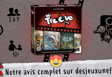 Mr. Troove - Des Jeux Une Fois