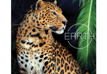 Underwater Cities, Tower up, Earth, Flamme rouge, Monde de Reterra, Baie des marchands… La valse de