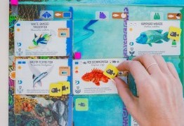 Après Wingspan et Wyrmspan voici venir Finspan