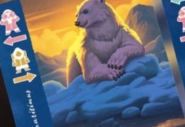 borealis : Eisbaer im kalten polar