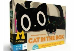 Cat in The Box : Chat noir, chat noir