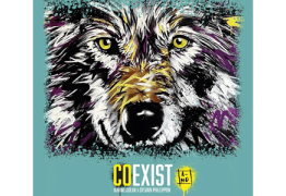 Coexist : Prouve que tu résistes