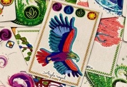 Dame Nature : la coopération intissée