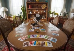 Exploding Kittens Règles Complètes : Guide 2026 du Jeu