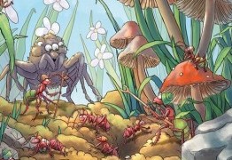 Fourmis : le jeu de pose d’ouvriéres