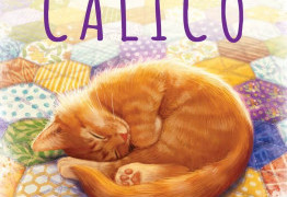 Interview-Test: Calico | Le Labo des Jeux