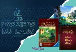 Les dossiers du Labo : Les châteaux de Bourgogne