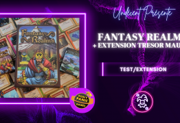 [Test/Extension] Fantasy Realms + Extension Trésor Maudit – Le grand frère de Red Rising mais en pl