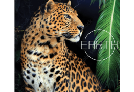 Underwater Cities, Tower up, Earth, Flamme rouge, Monde de Reterra, Baie des marchands… La valse de