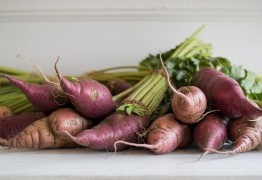 Yams Règles Complètes : Guide 2026 pour Jouer et Gagner