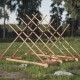 Disposition Mölkky : Guide Complet Installation & Distance